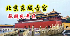 黄色性生活插逼短视屏中国北京-东城古宫旅游风景区